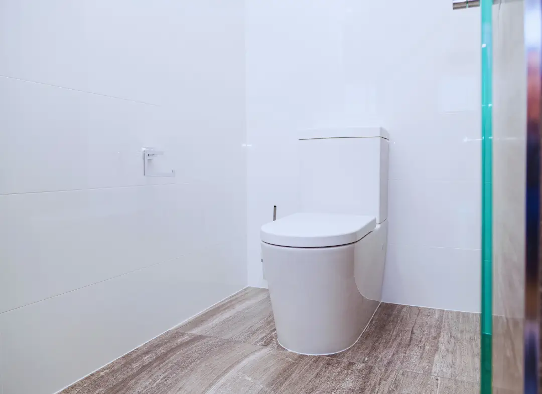 Remplacement de wc Bellegarde