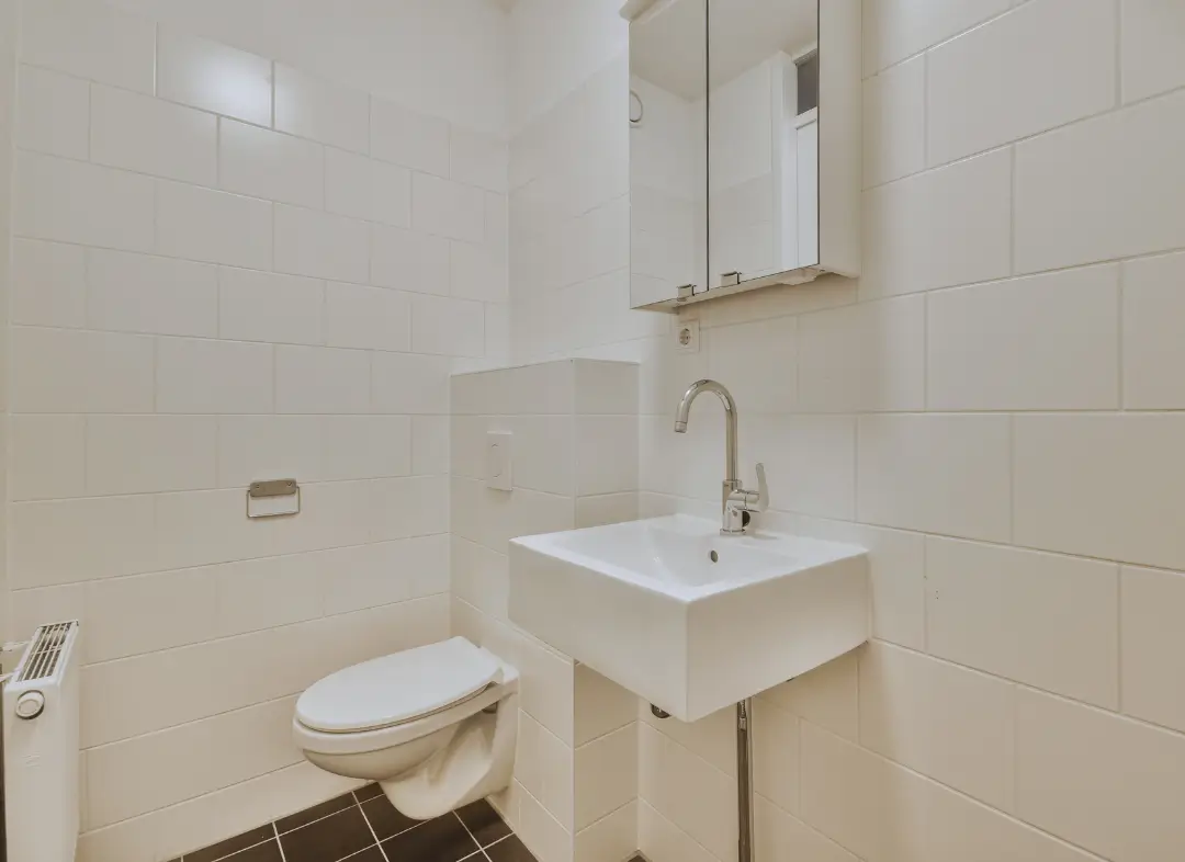 Pose WC Suspendu Bellegarde